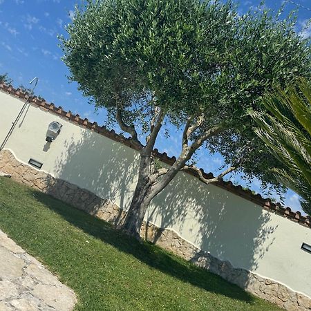 Willa Gold House Luxury Anzio Zewnętrze zdjęcie