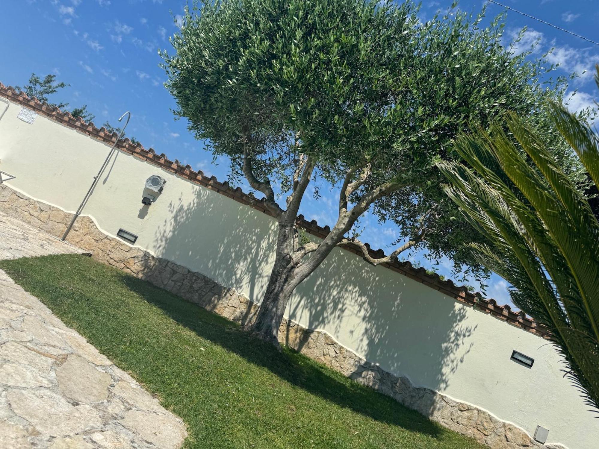 Willa Gold House Luxury Anzio Zewnętrze zdjęcie