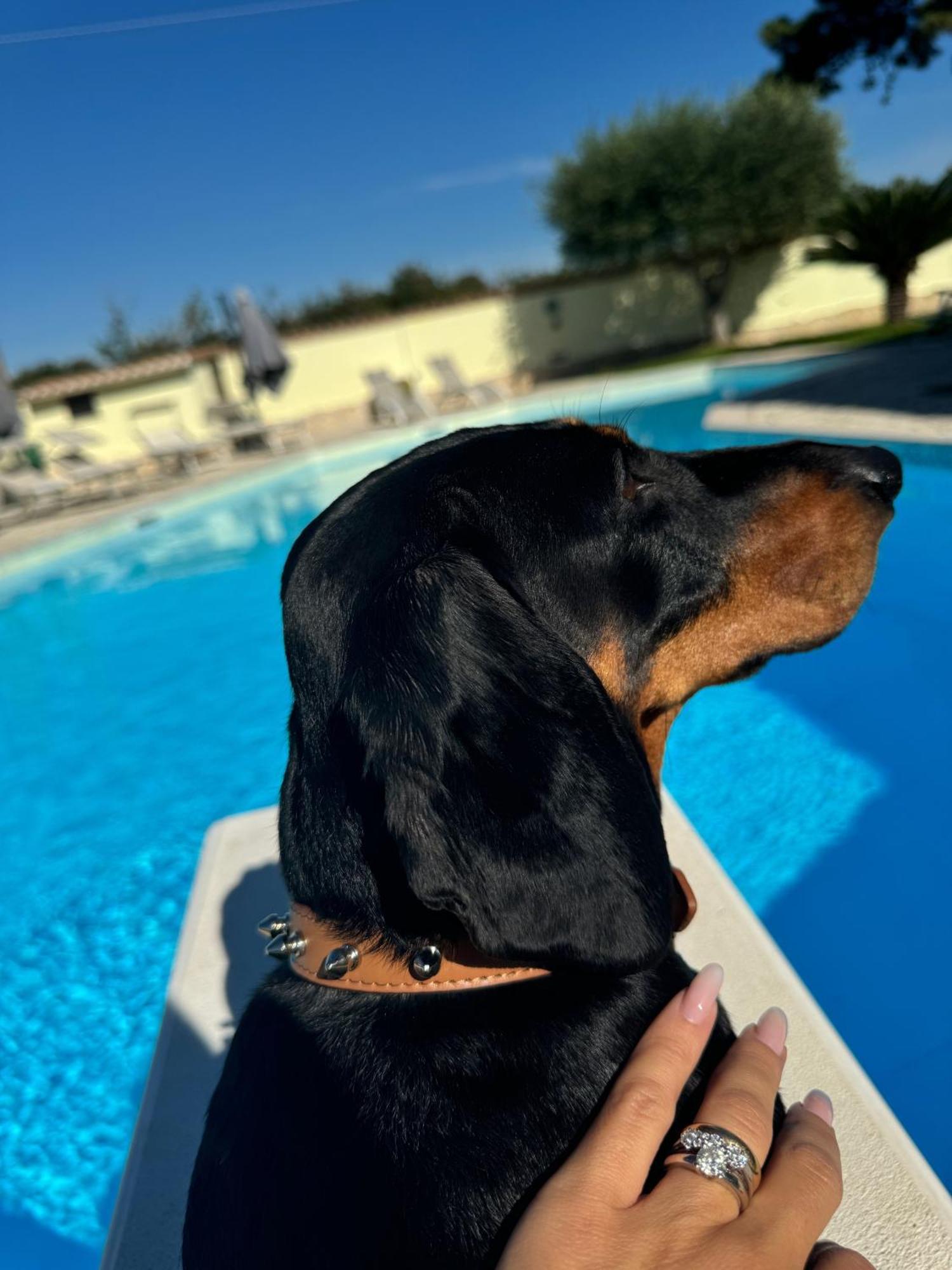 Willa Gold House Luxury Anzio Zewnętrze zdjęcie