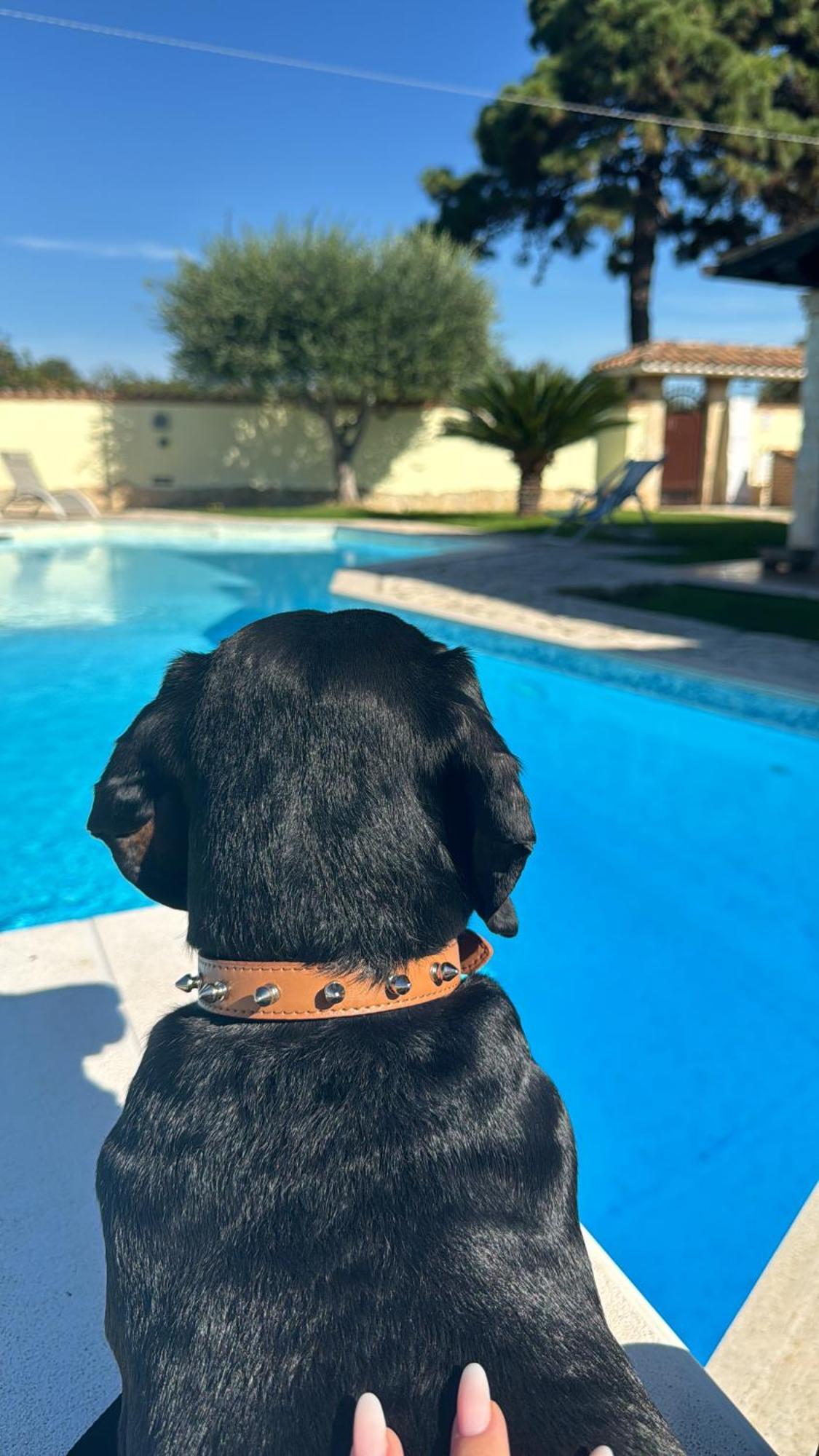 Willa Gold House Luxury Anzio Zewnętrze zdjęcie